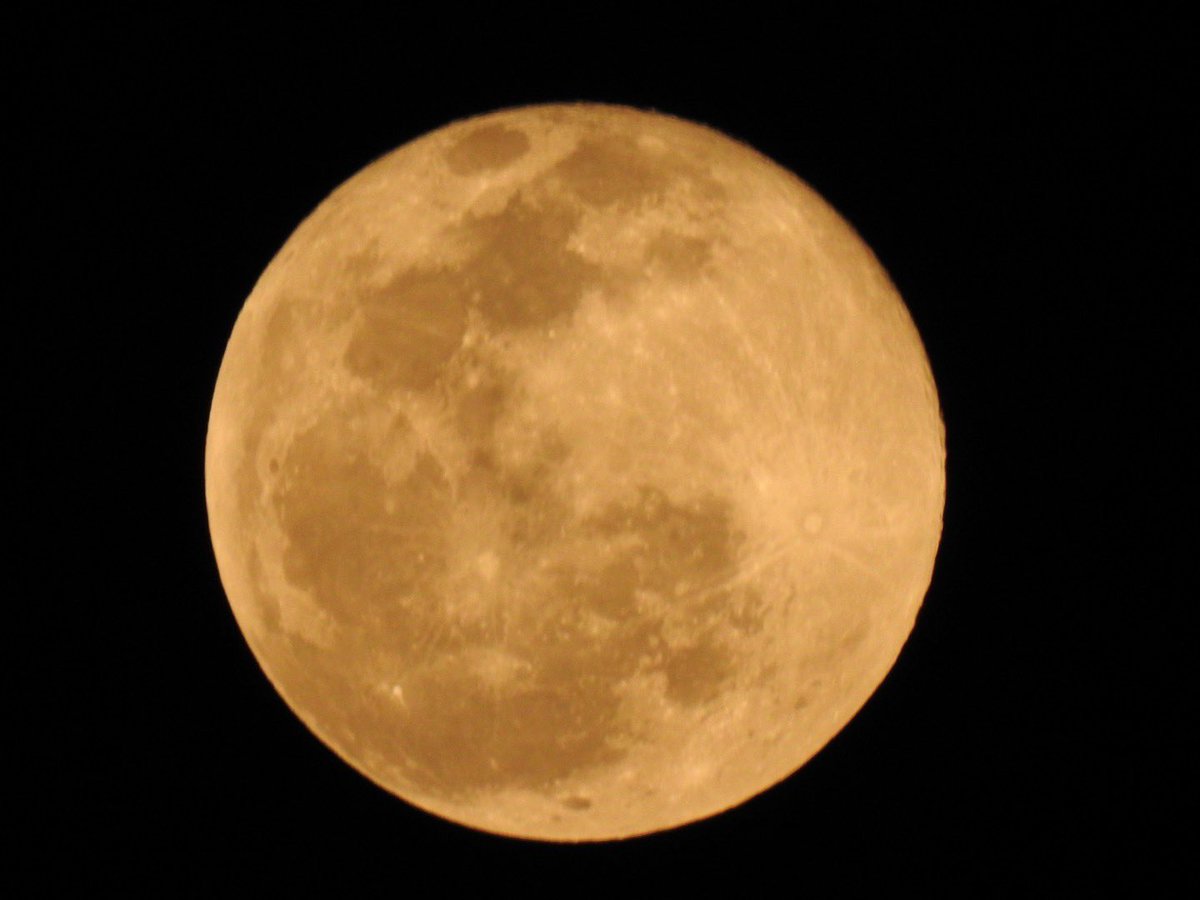 yagnesh83's tweet image. #Mclick Nikon P900