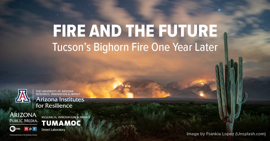 Last summer, Tucson saw the Bighorn Fire ravage local ecosystems. This summer, the impacts of the Bighorn Fire and the future of Tucson will be discussed in "Fire and the Future," on June 2nd from 6-7:30 PM. 

arizona.zoom.us/meeting/regist…
