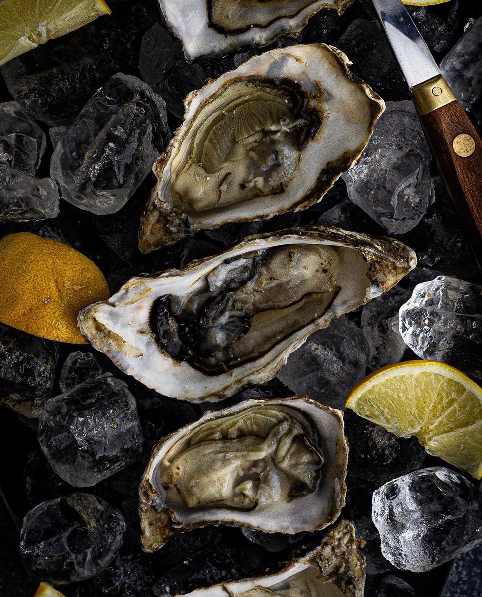 Fish To Your Door tweet media