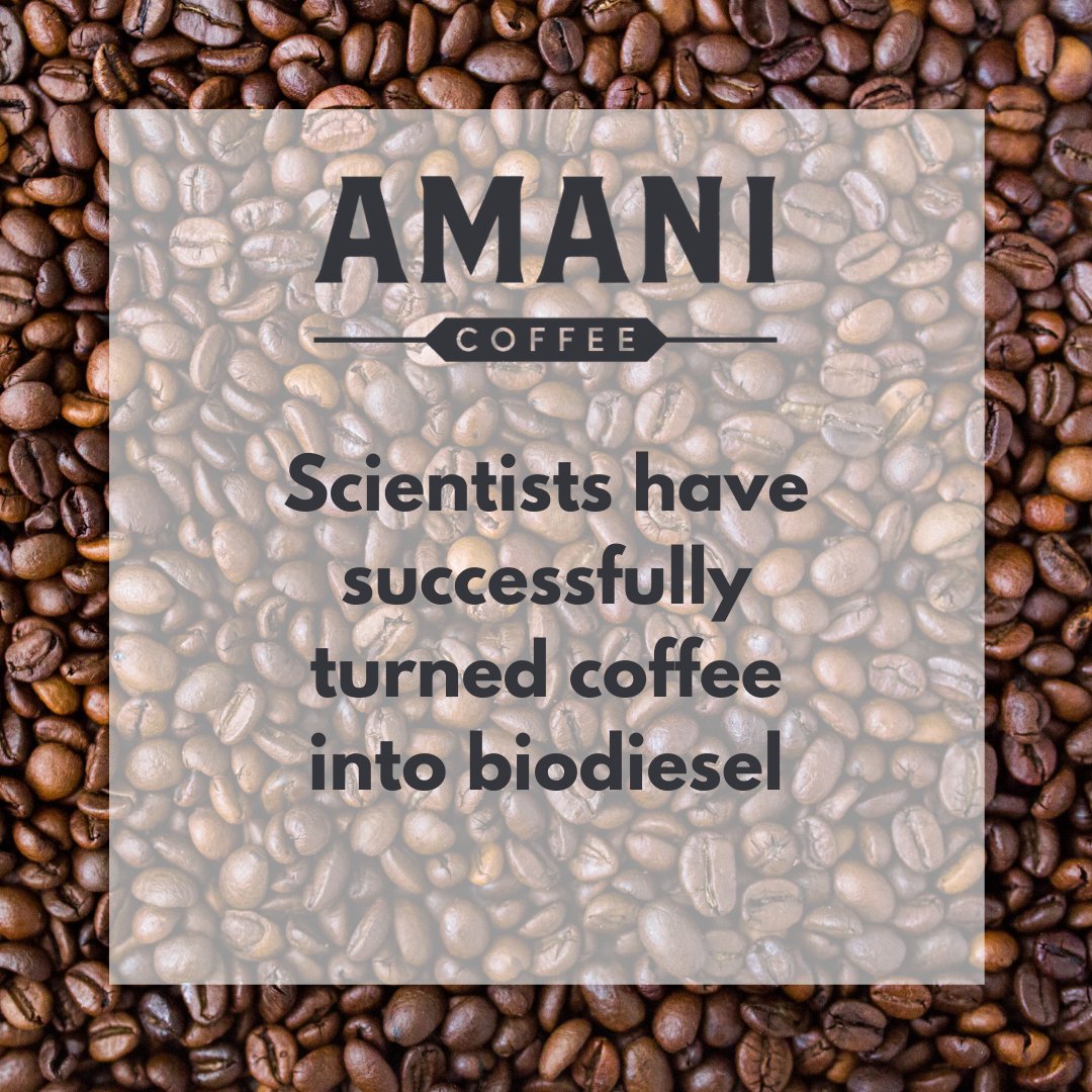 Scientists have successfully turned coffee into biodiesel, which could mean that coffee could be the fuel of the future!