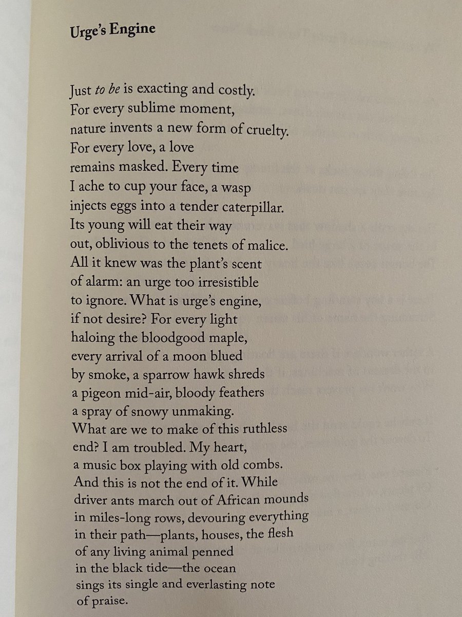 OxidantEngine's tweet image. From @MueskOfficial in BoxSet Vol. 4!