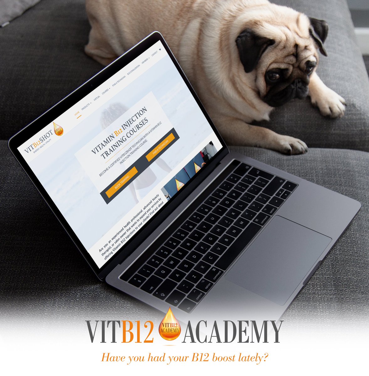 vitb12shot's tweet photo. Did you know you can train from home anywhere in the UK &amp; Ireland and become a fully certified and insured VITB12 technician? 

Head over to our website where you can find all the information you need to start you on your VITB12 Technician journey! 

https://t.co/OjhBIIGlCP https://t.co/XDyk9saSUl