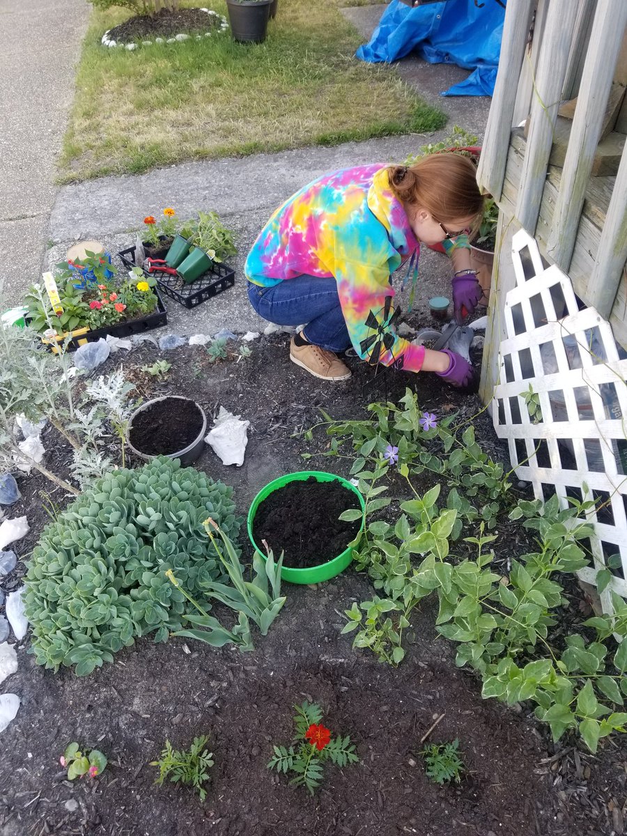 DesireDevonXoXo's tweet photo. Mulch is next and then it's finished!! 
#GardenersWorld 
#hardworkpaysoff https://t.co/t28IukH5Xe