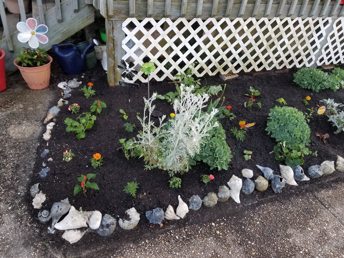 DesireDevonXoXo's tweet photo. Mulch is next and then it's finished!! 
#GardenersWorld 
#hardworkpaysoff https://t.co/t28IukH5Xe