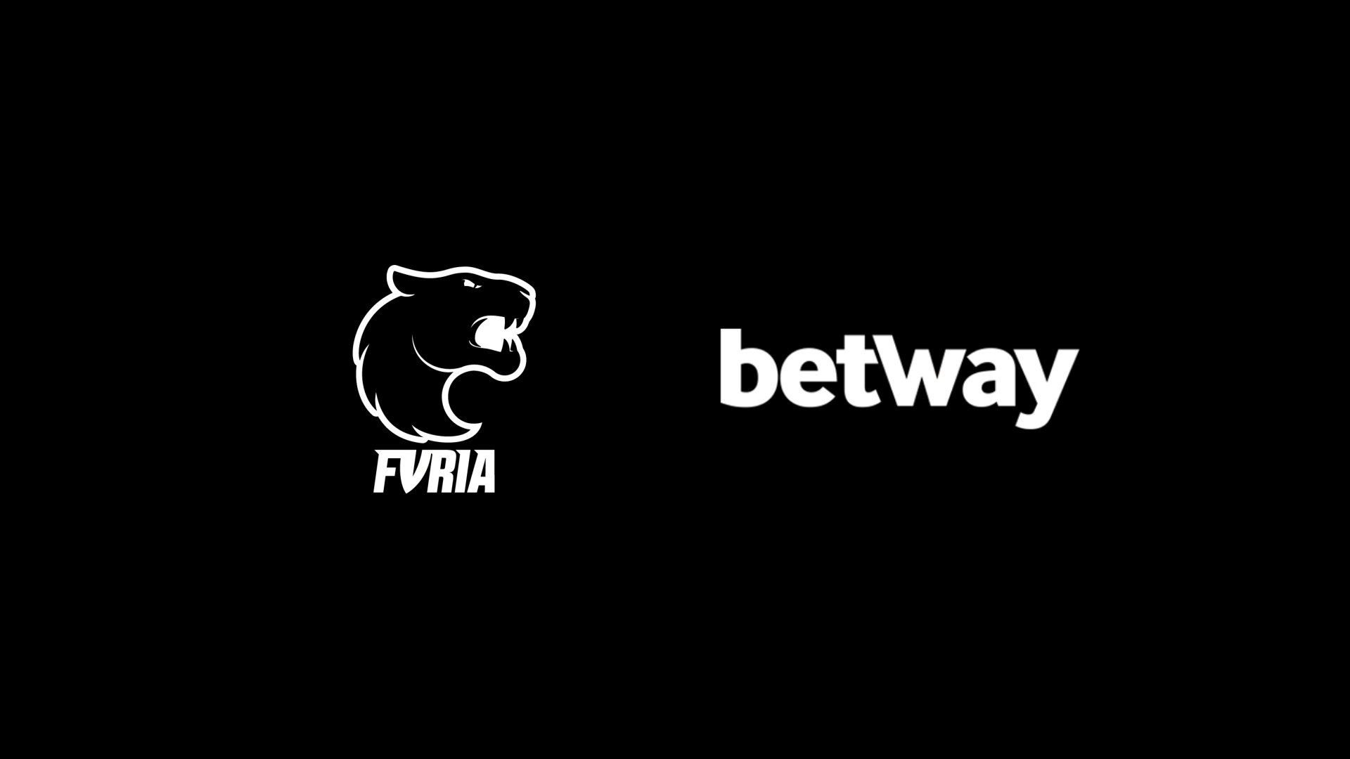 horarios que o tigre paga onebet