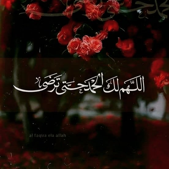 Beetube1's tweet photo. - 
اللهم اعنا ع��ى ذكرك و شكرك و حسن عبادتك.. ❤️
#القدس #فلسطين_تنتصر #يوم_الجمعه #اللهم_صل_على_محمد_وآل_محمد #دعاء #صباح_الخير https://t.co/HIGp7HcVUQ