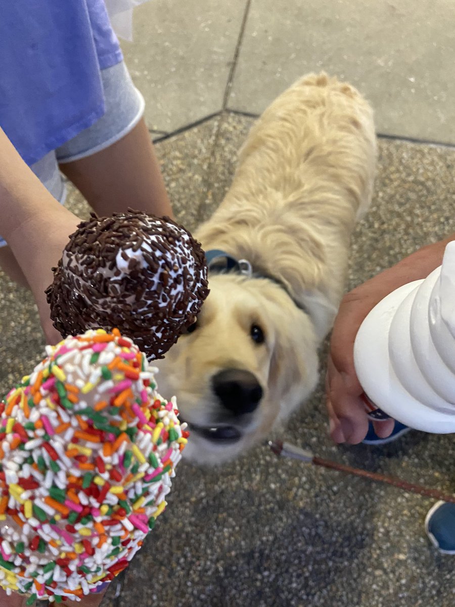 MarissaL_Horn's tweet photo. Summer is here 🍦☺️ https://t.co/dgihHZR9nE