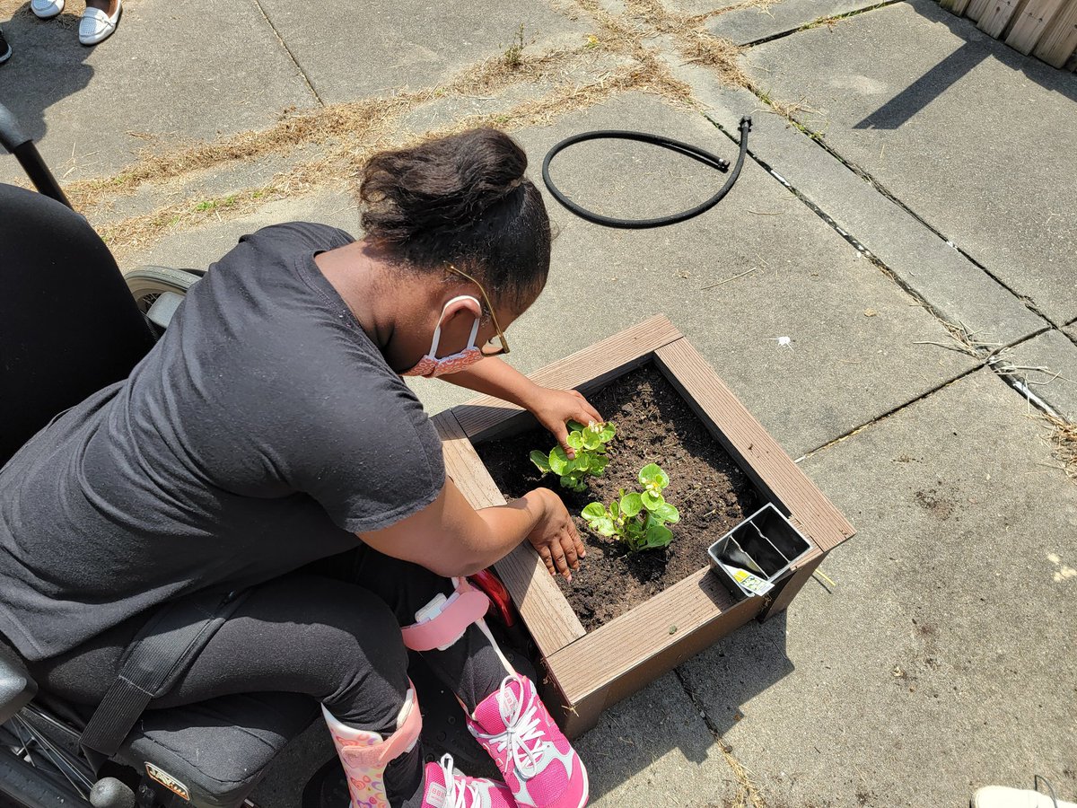 19Nette93's tweet photo. Mr. Earls collaborated with a few other teachers to have students plant germinated plants and seeds in the Courtyard at Lakeland! @mrWLHSCavNation
#BuildingTheBestSPS
#ScienceInspires
#CTEAtWork https://t.co/S0flDMfC4i