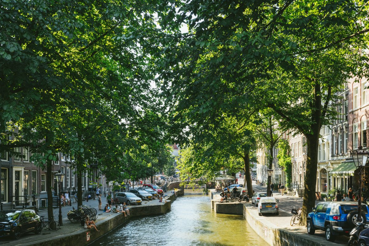 Friends of Friends tweet media