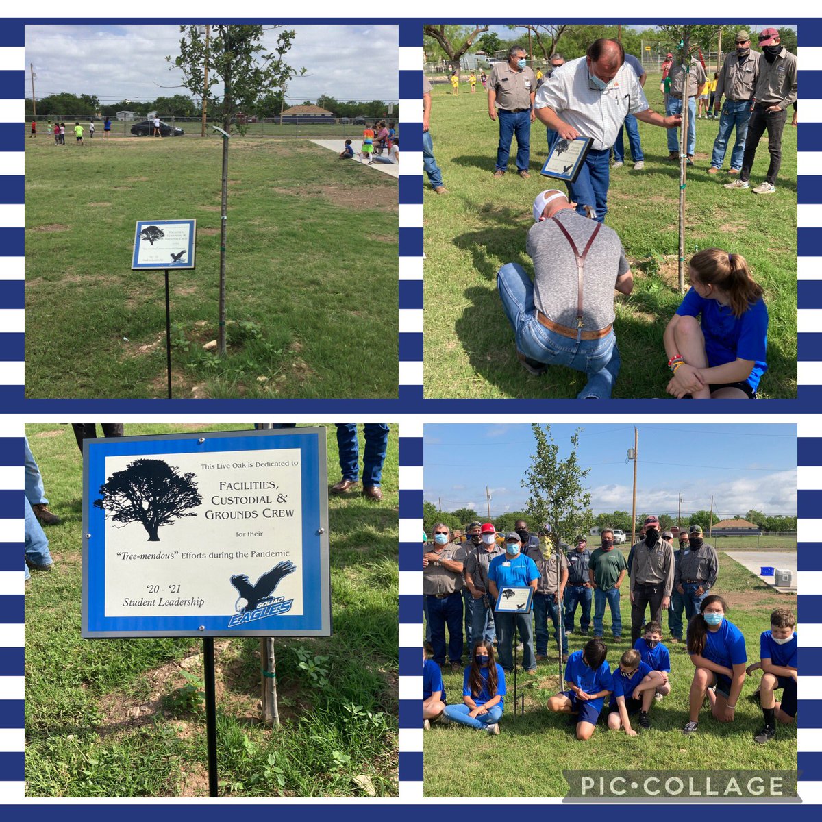 Goliad Student Leadership team dedicated the Live Oak tree they purchased with the Funds raised with an Earth Day project to SAISD Custodial, Grounds and Maintenance crews for hard work and dedication to our schools! <a href="/SanAngeloISD/">San Angelo ISD</a> <a href="/judyknight47/">Judy Knight, Ph. D.</a> <a href="/1GoliadSAISD/">Goliad Elementary </a>  <a href="/KlepacShannon/">Shannon Klepac</a>