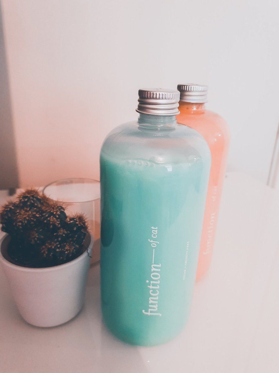 Catbreviews tweet media