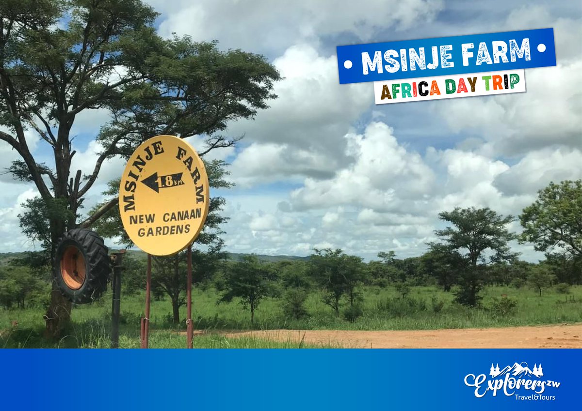 explorerszw's tweet photo. Yes.. We explored Msinje farm yesterday. Yes it was fun.
more pic coming soon. #escapewithus https://t.co/ENhFy6XG0s