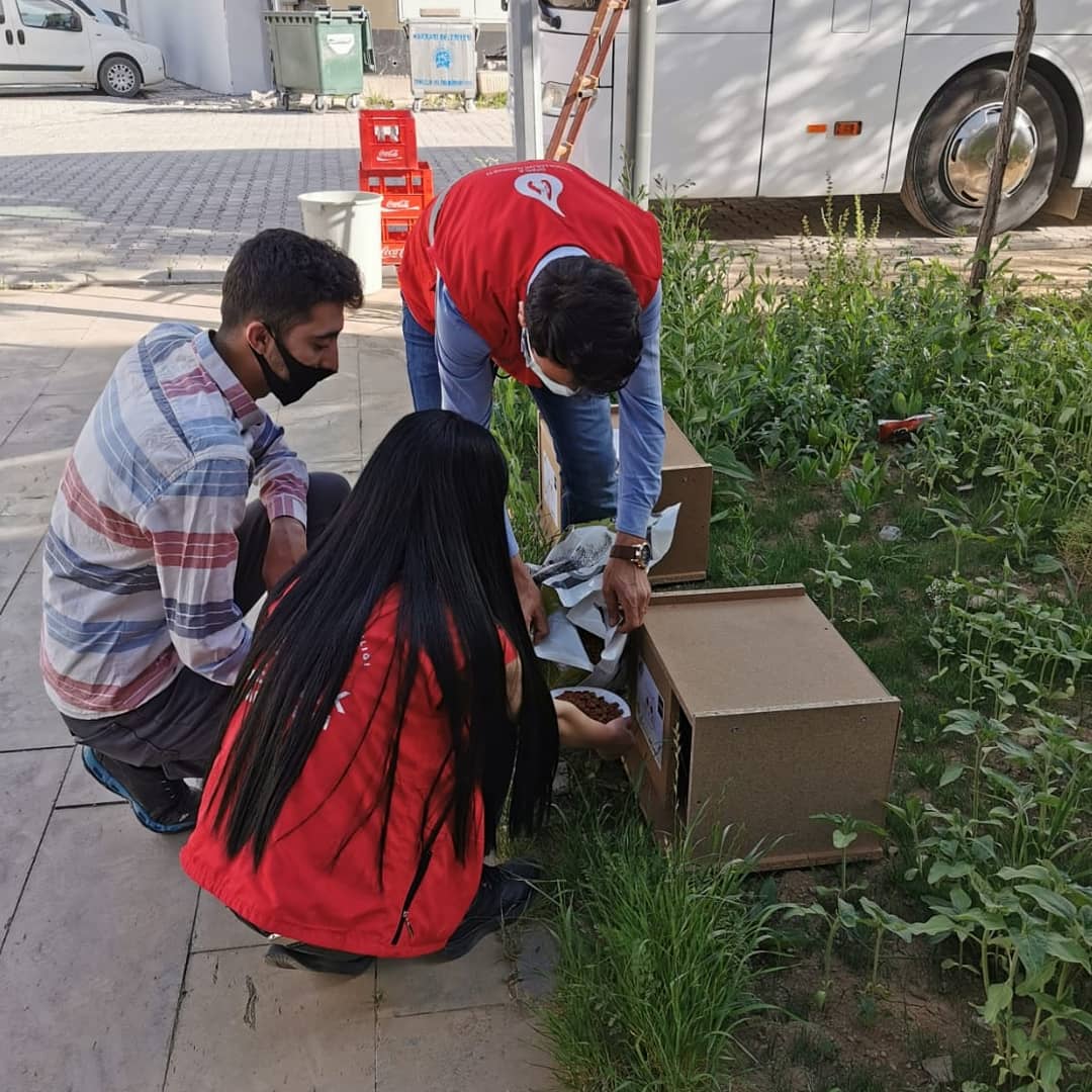 damlahakkari's tweet photo. @GmHakkari ve minik gönüldaşlarımızla birlikte sıcak yaz günlerinin başladığı bu zamanda kedi evleri yapıp mahallenin değişik noktalarına bırakarak içlerine mama ve su kabları bıraktık.
Sizlerde dışardaki dostlarımız için bir su kabı ve mama kapı önüne koymayı unutmayın 😊💧🐱 https://t.co/722j95qQJc