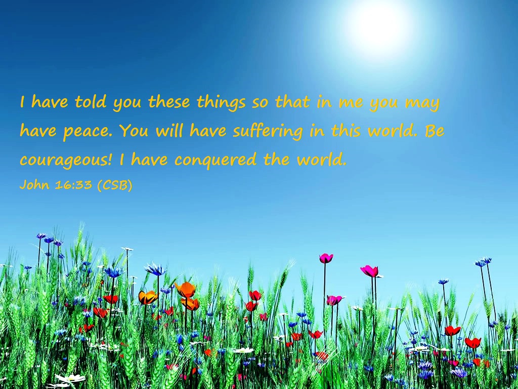 AMG Publishers tweet media