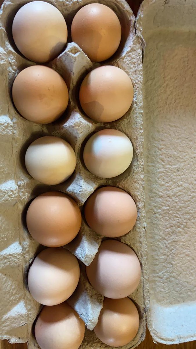 FlyingPieIss's tweet image. We have restocked FARM FRESH EGGS this morning.  Available while supplies last, next to the beer and soda in the grab and go fridge!