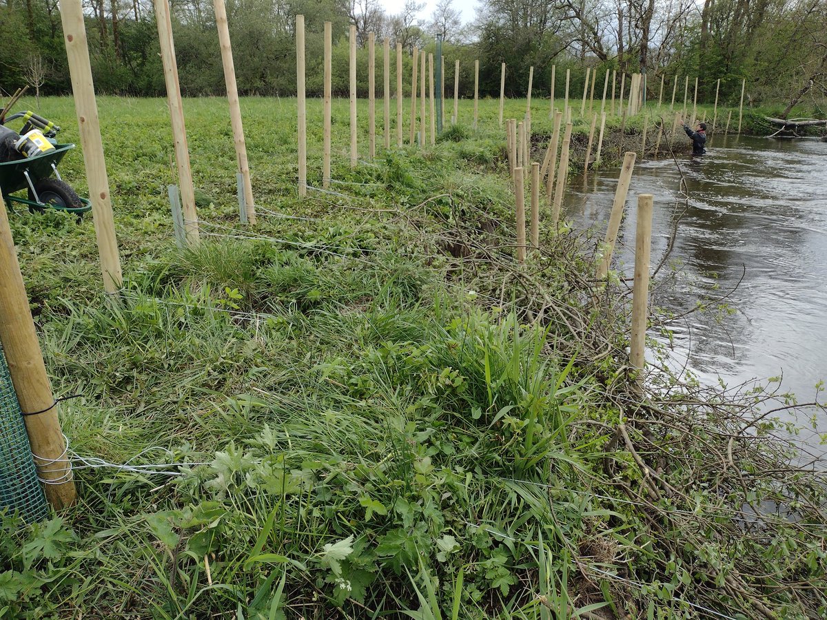Day 3 on the river done and the first part of the brash bank is (almost) complete! 🎉 Another great effort from our volunteers today 👏 and we stayed mostly dry! 🌧️ <a href="/ForthRiversT/">Forth Rivers Trust</a> <a href="/lomondtrossachs/">Loch Lomond & The Trossachs</a> <a href="/HeritageFundSCO/">The National Lottery Heritage Fund Scotland</a>