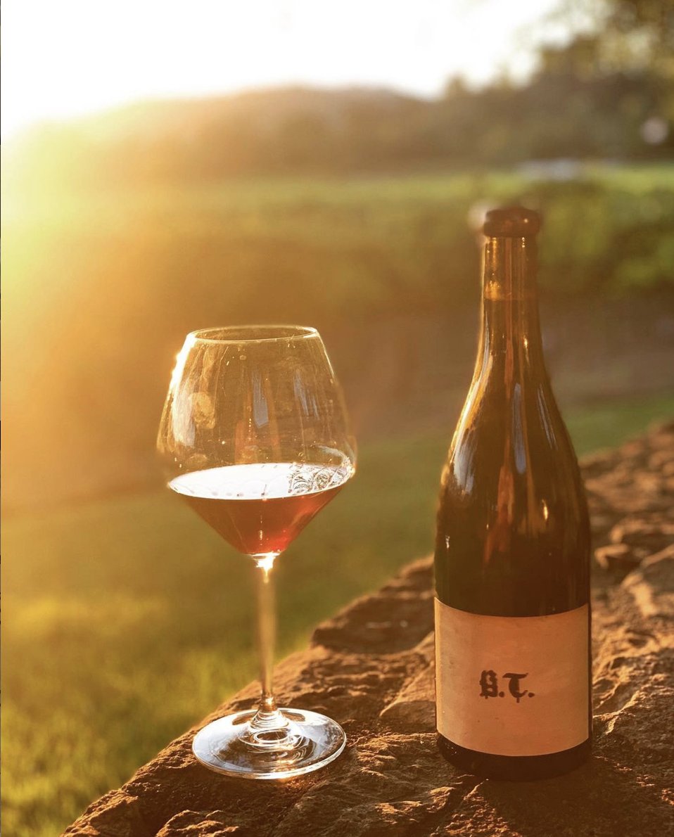 High praise from critics coupled with limited production mean that @Argotwines have never been available in the UK, until now. Described by <a href="/jebdunnuck/">Jeb Dunnuck</a> as “a big, ripe, sexy beast of a #PinotNoir” we have 36 bottles of Bastard Tongue Pinot Noir 2018 available for a limited time.