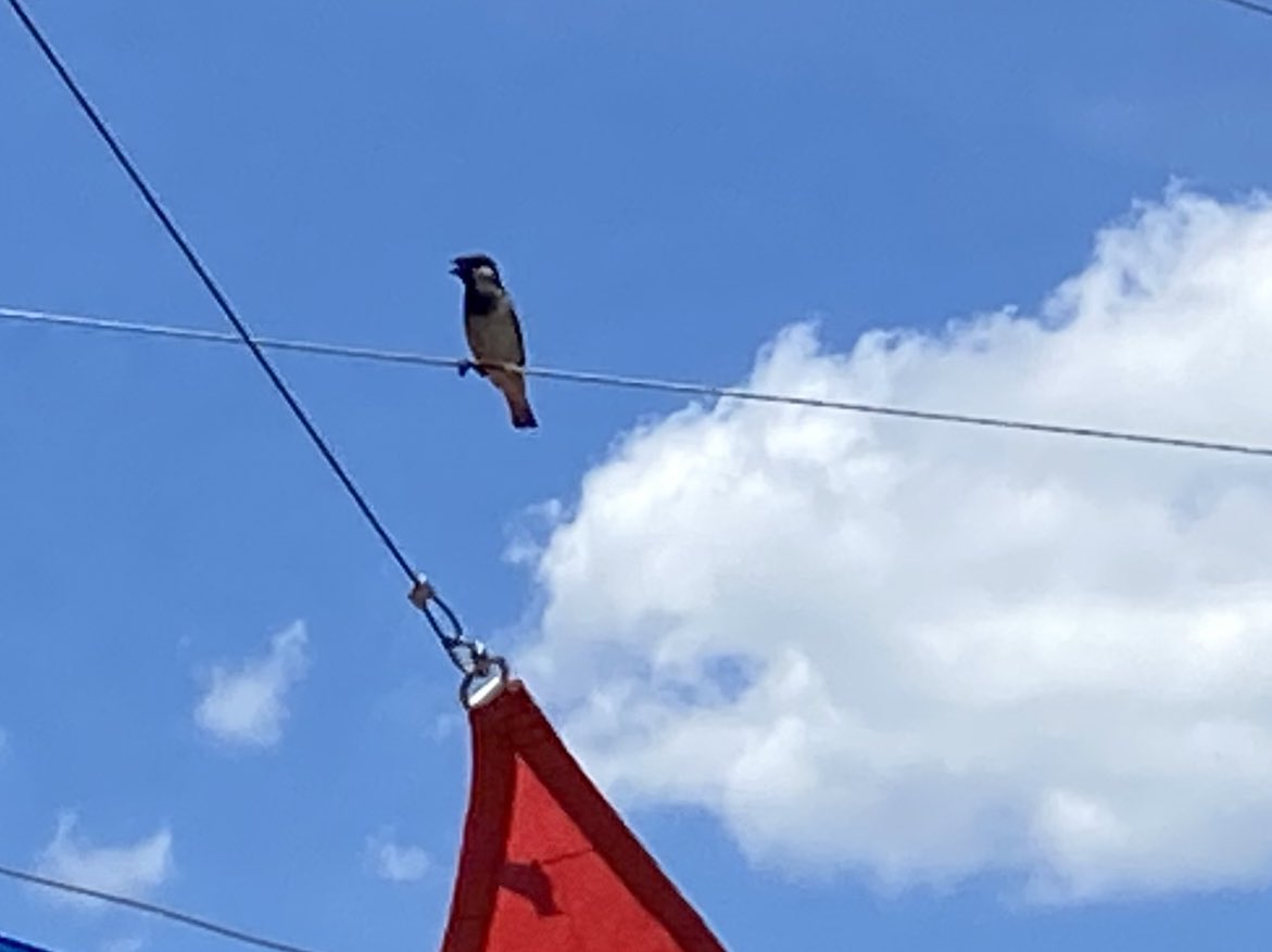 Off Color Brewing tweet media