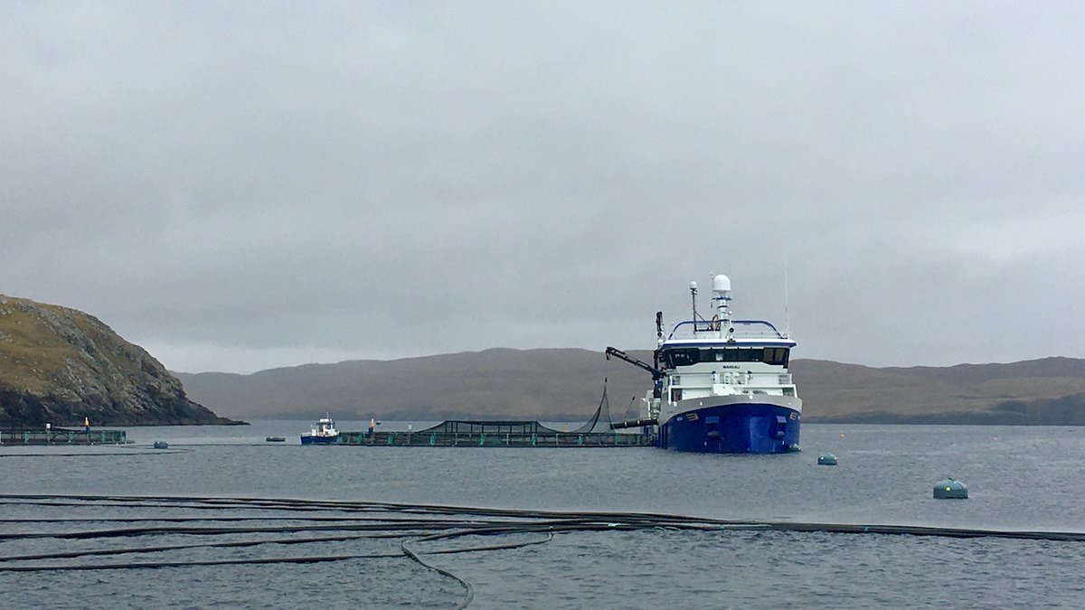 scotseafarms's tweet photo. SUPERSIZED | Migdale Transport winning the 'My boat is bigger than yours' chat by a country mile. Shout-out to husbandry trainee Scott for capturing the moment #mangaster #shetland #workboat #wellboat https://t.co/9W7ILUVRw7
