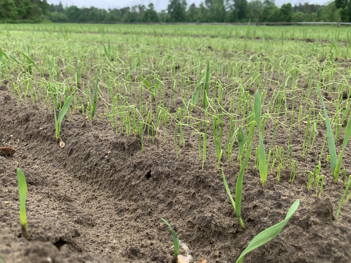 nathan teetzel tweet media