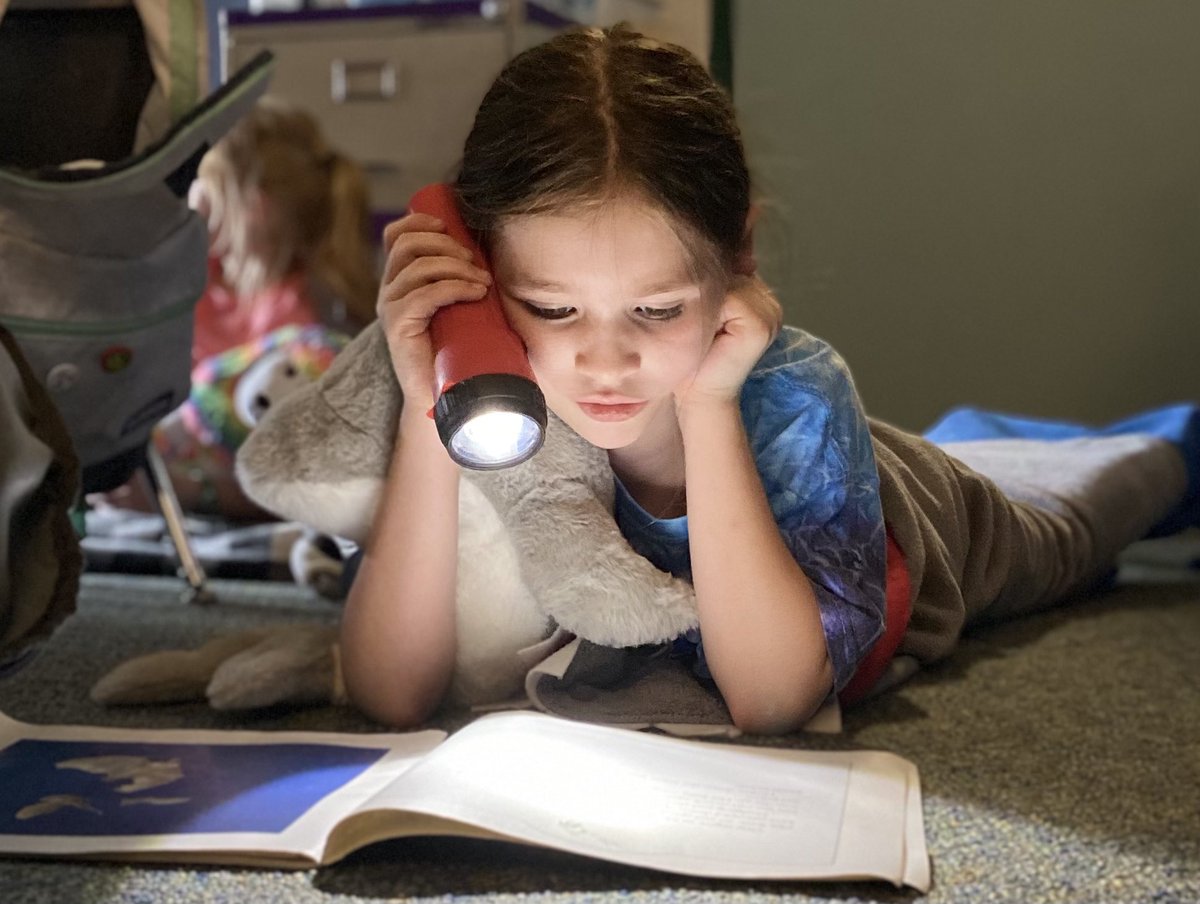A little shark enjoying flashlight reading 🦈 <a href="/HumbleISD_SFE/">Shadow Forest Elem</a>