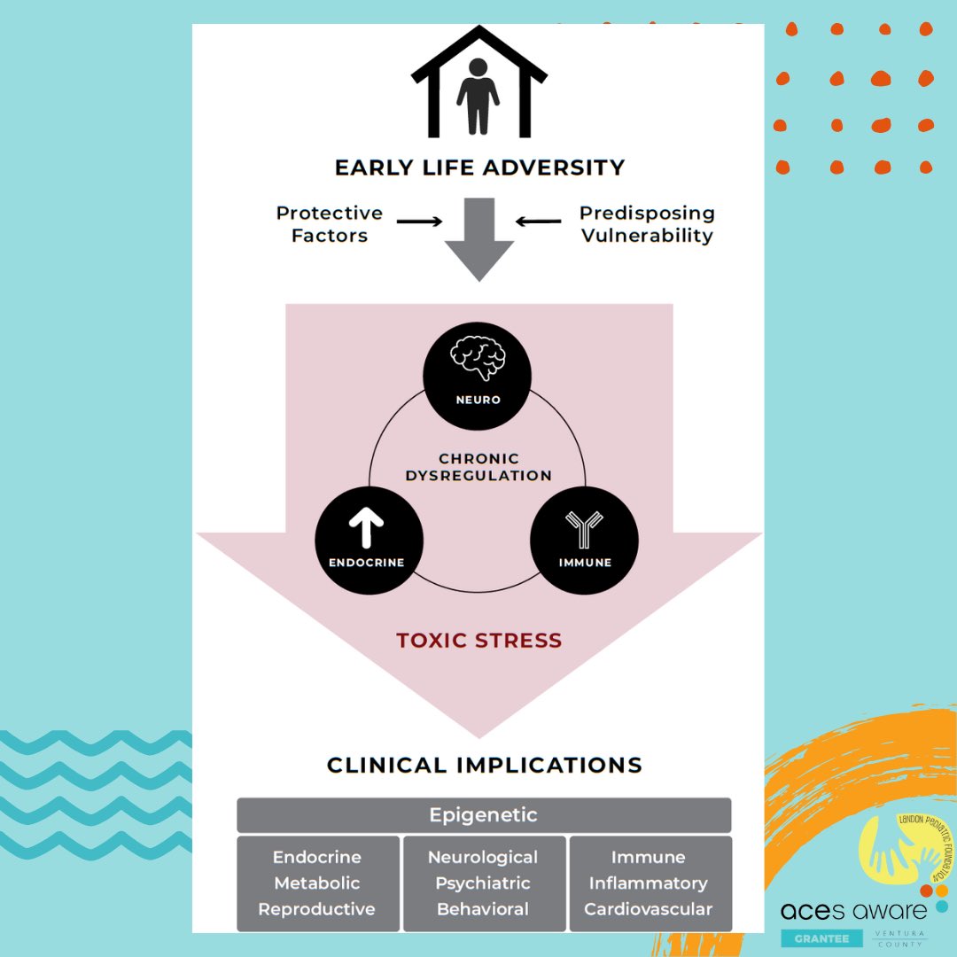 ACEsAwareVC's tweet photo. Did you know? Exposure to ACEs can alter gene expression in parents to be, which can affect the development and health of their children, and future generations to come. Join in on the CA Surgeon General's bold mission to cut ACEs and toxic stress in half in one generation.
#aces https://t.co/NovLLGWtqd