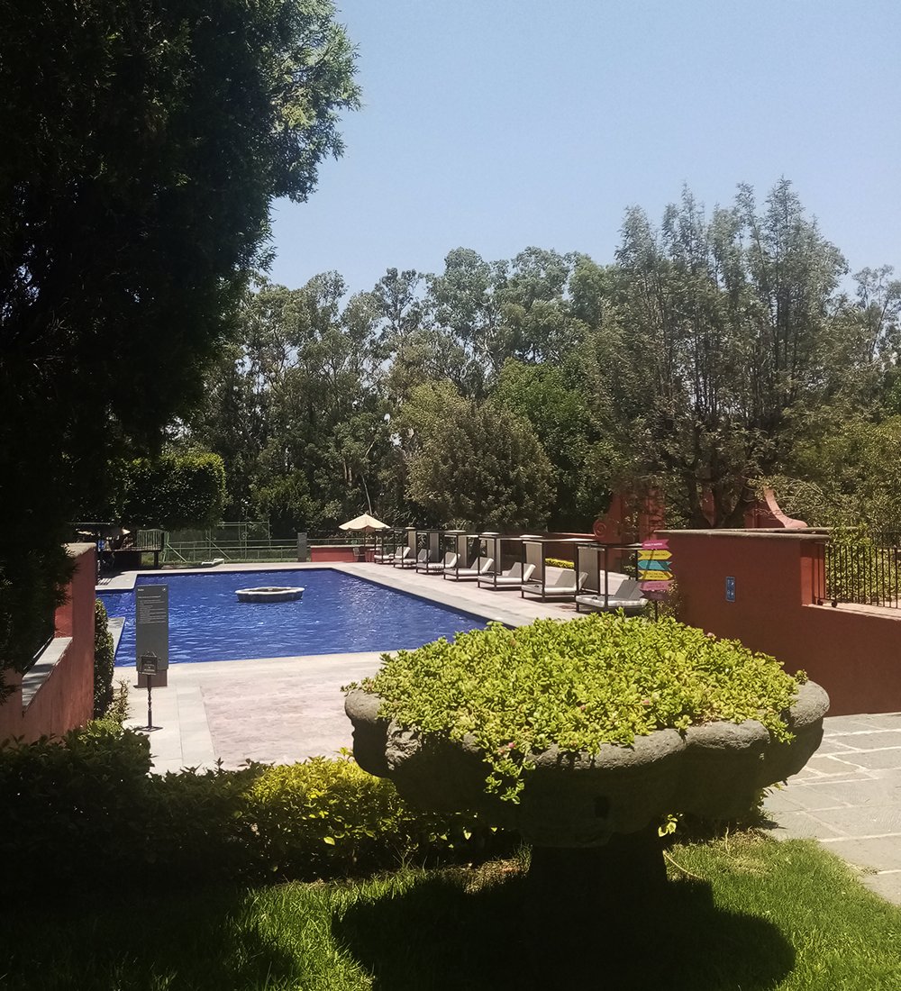 Meetings Experience tweet media