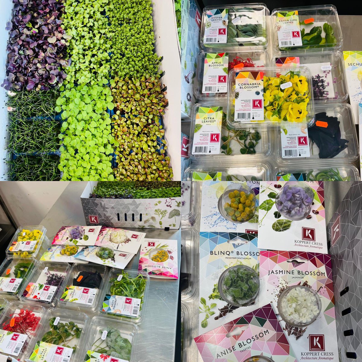What a great privilege to show our JCA students tonight the amazing range of products from <a href="/koppertcressUK/">KoppertCress UAE-UK</a> <a href="/TLHFF/">Harvest Fine Foods</a> who delivered them to us. Using the products for our healthy salad week with <a href="/LennieTheChef/">Leanne Turk</a> <a href="/compassgroupuk/">Compass Group UK & I</a> <a href="/CGUKApprentices/">Apprenticeships@CGUK</a>