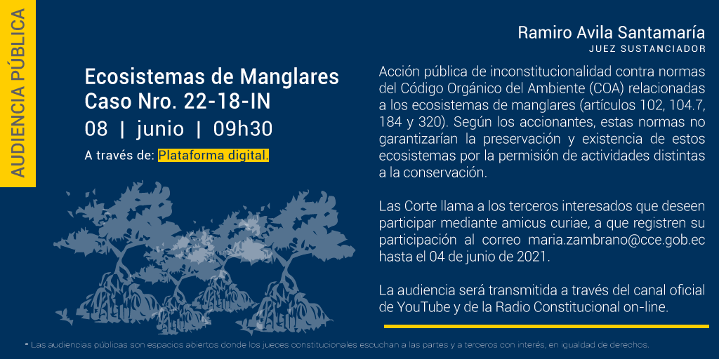 CorteConstEcu's tweet photo. El juez sustanciador Ramiro Avila Santamaría convoca a las partes procesales y a los amicus curiae a la Audiencia Pública telemática del Caso Nro. 22-18-IN 👉 Ecosistemas de manglares.

 📁Ver convocatoria👉https://t.co/3aPWjZArPL https://t.co/6UeZKpwCY3