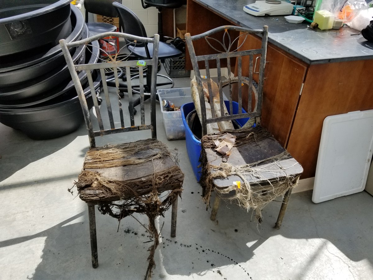 wisbrock's tweet photo. @sfs_src I think this one was made for me... granted, these are all from my data.

Toilet was in one of our streams with the highest biological quality; lawn mower was in a stream surrounded by residential back yards; chairs were a set from the #ChicagoRiver; the doll... #SRCScavenger https://t.co/ePx1hprhIG