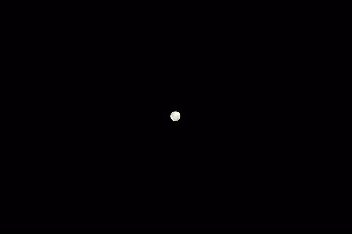 SebCreativo's tweet photo. #miluna @Sintesis_13 este fue nuestro eclipse #EclipseTotalDeLuna #Argentina https://t.co/7aSJDqdKA8