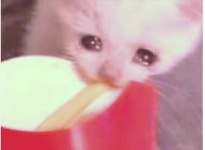 mfw my multi timeline husbands and wives are not here