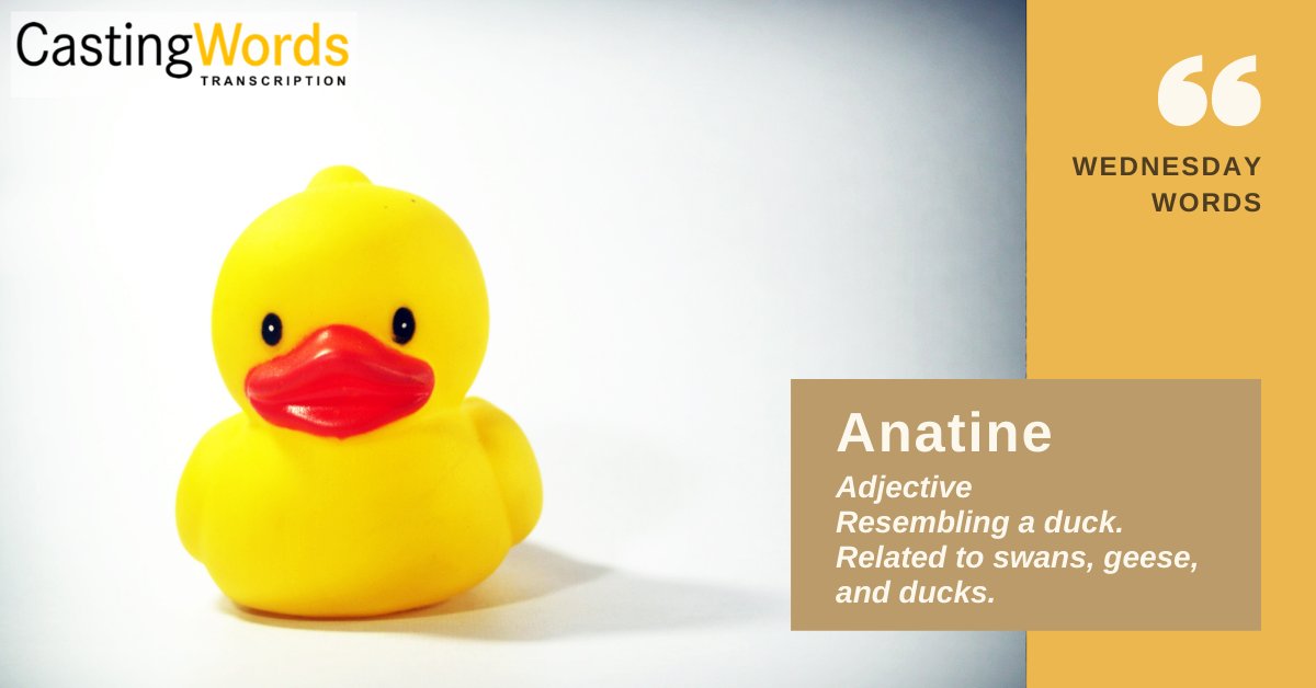 castingwords tweet media