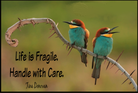 ReneeThompsonRN's tweet photo. Life is fragile. We don't know what tomorrow will bring. Make the most of today. Love life. Love people. Serve others. CARE MORE. From Stay Positive by Jon Gordon and Daniel Decker. #Kindness #FRONTLINELOVE #CARING #coping https://t.co/LNwJZ3aFoa
