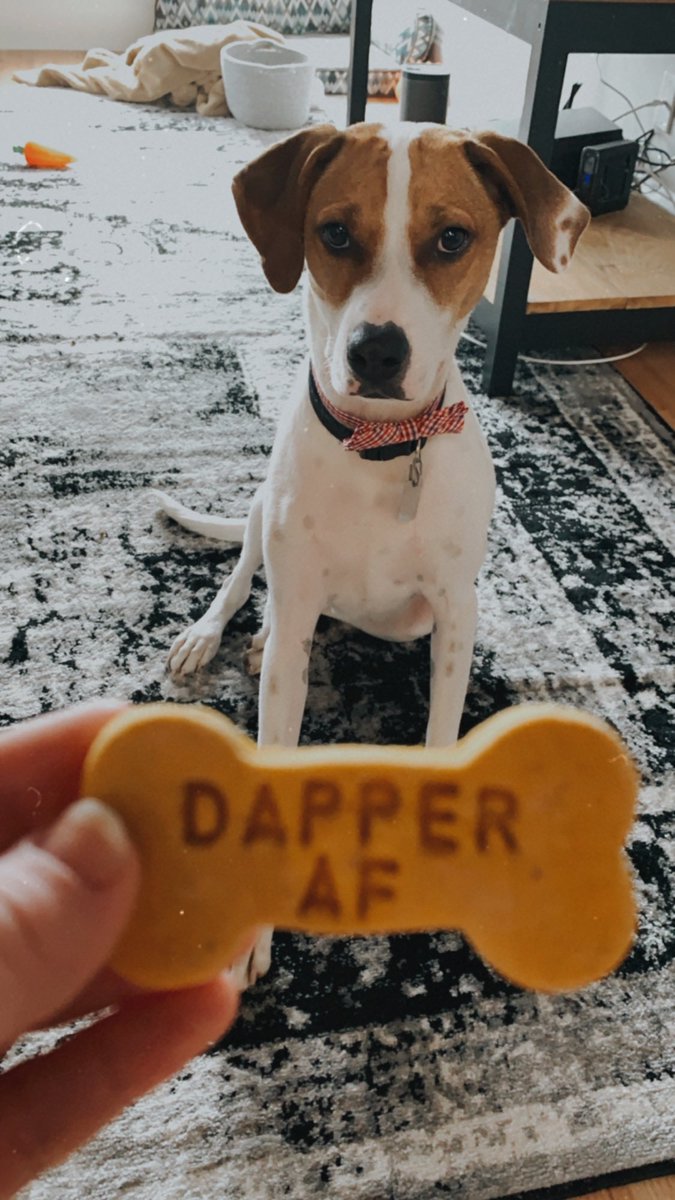 haolechild's tweet photo. dapper AF, indeed https://t.co/S5Xp1QkJoE
