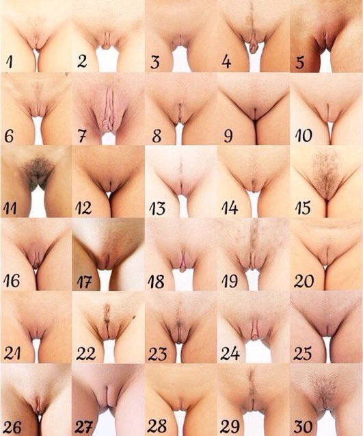 Comment what # pussy I have 😛😍 then Retweet to bless someone&rsquo;s twitter feed https://t.co/rFLK8ekIpX