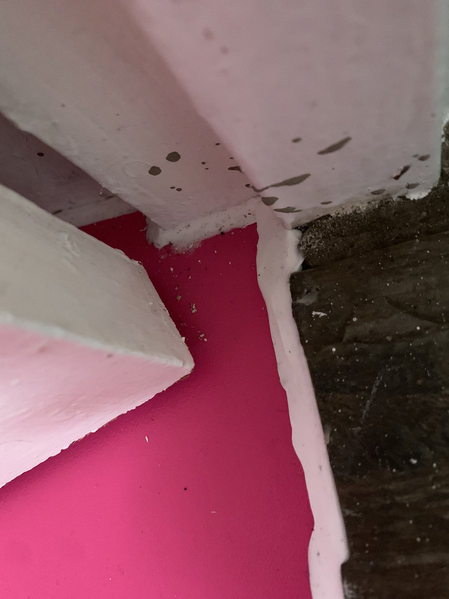 TanyaStacey61's tweet photo. @BarefootFloors and more pictures of poor workmanship applying the sealant to a pink floor I searched hard for https://t.co/7pmforphMB