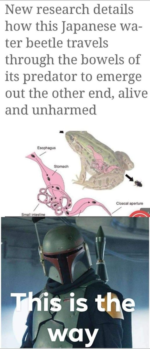 Jesse Rigel (@RigelJesse) | Twitter