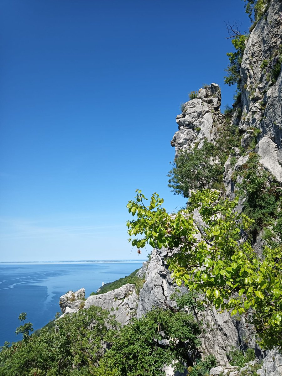 Beautiful day in the classic karst region near Trieste, Italy.