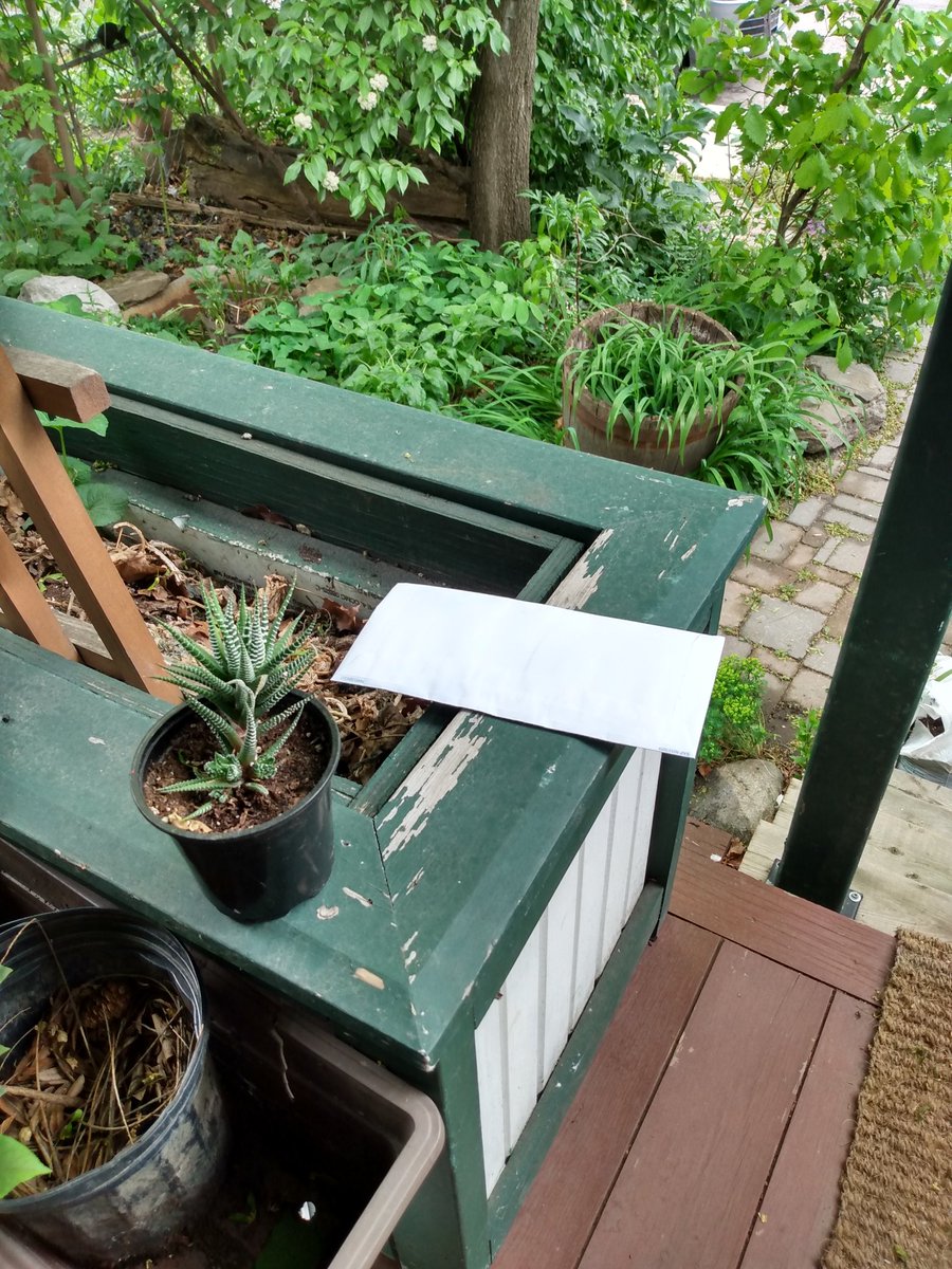 mdcnunes's tweet photo. @canadapostcorp @canadaposthelps Is this where I'm supposed to have my mail delivered----an envelope containing a new credit card?! #canadapost #untrained #mailtheft #identitytheft https://t.co/NCPmvmW29D