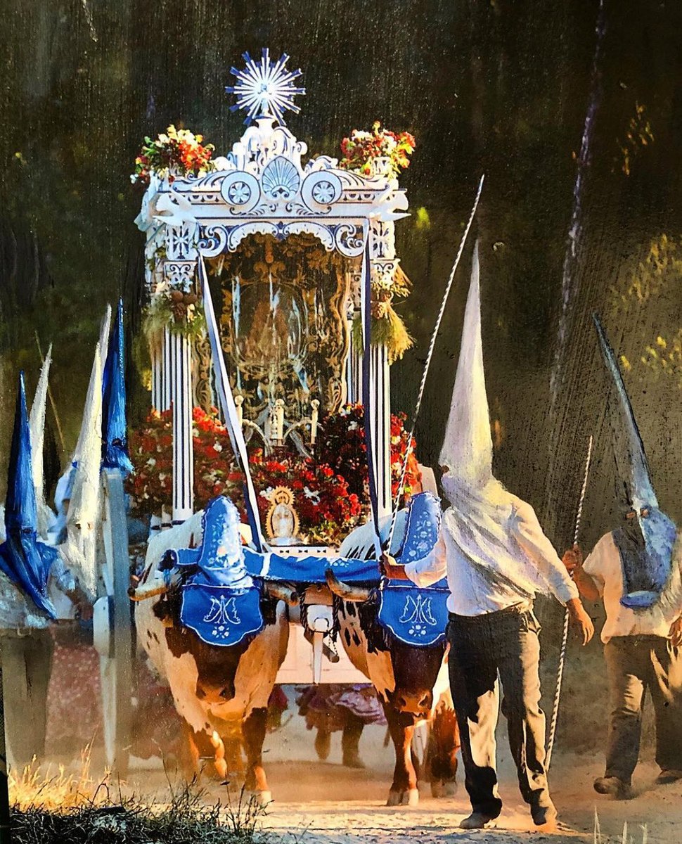 AgustinIsraelbg's tweet photo. #simpecado de la #hermandaddehinojos por el #coto de #doñana con sus #capirotes acrilico sobre papel 18x24 cm #art #arte #cuarentena #elrocio #simpecao #hinojos #capirote #romeros #blanco #azul #pinos #huelva #sevilla #fiestas #tipicalspanish #lunaresycapirotes #agustinisrael https://t.co/ucetCYx8eW