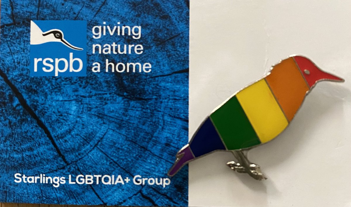 JulieWalkling1's tweet photo. Delighted to have been able to buy an @Natures_Voice #LGBTQIAStarlings badge! As a #LifeFellow of the #RSPB it’s great to feel included (and Starlings are great!) https://t.co/rvL4xACgsb