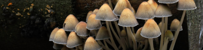 M:ST Performative Art tweet media