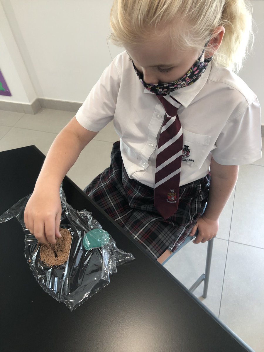 KCD_Year3's tweet photo. Sedimentary, metamorphic and igneous rock cycle learning in year 3. Try saying the three rock types five times without mixing your words. Can you do it? https://t.co/JteHsNnWHR