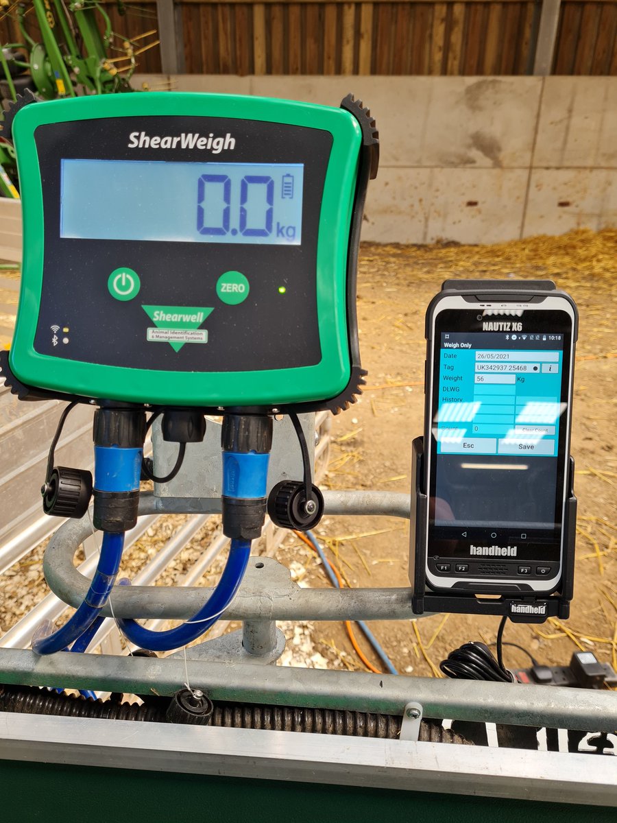 Help getting started with your new ShearWeigh Weigh Head ⚖
youtu.be/7-9cxz3RBao #ShearWeigh #GetStarted #ShearwellHelp #HelpVideo