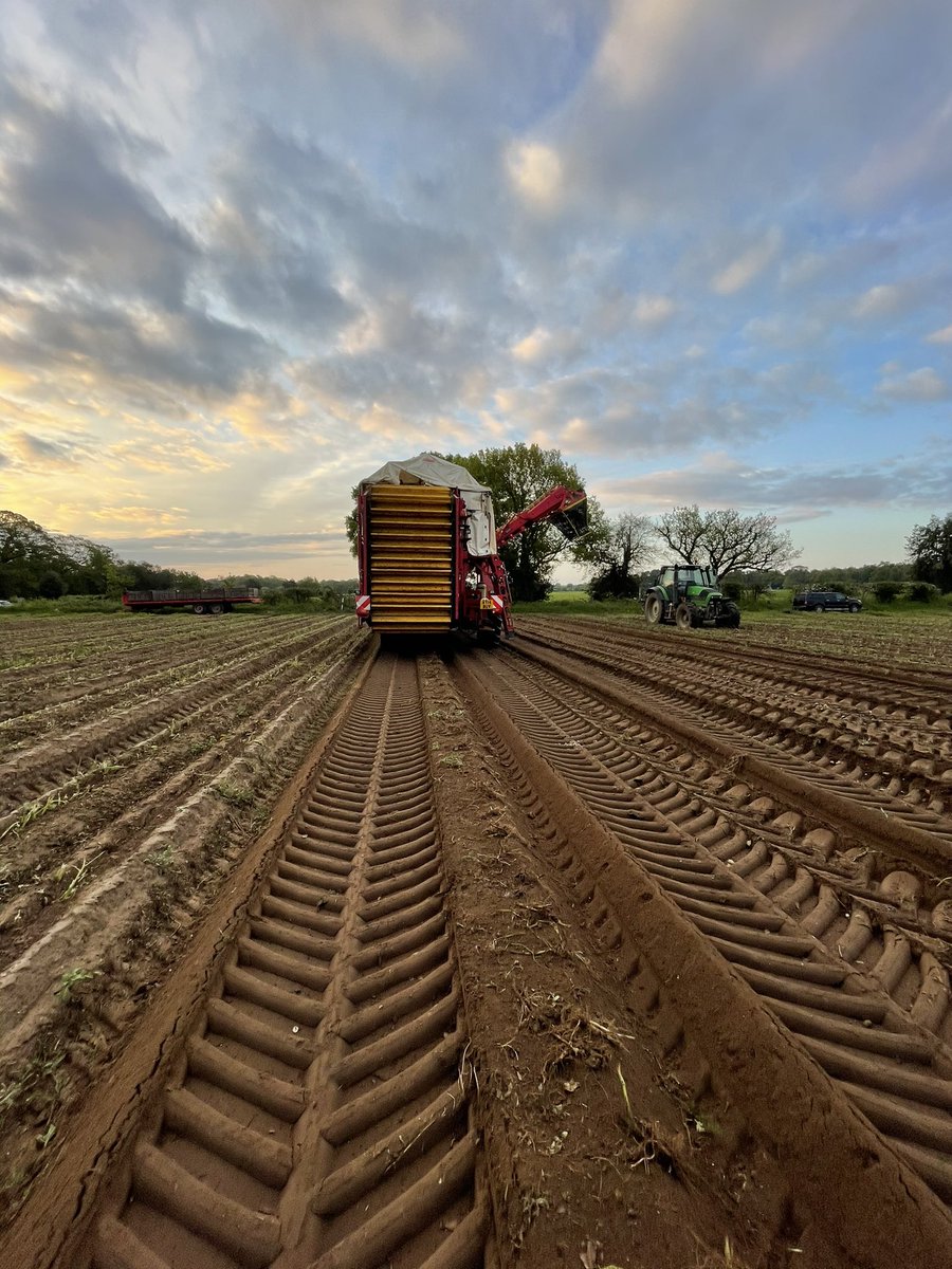 Today we started lifting our first early salad potatoes for the 2021 season! 12 days later than last year due to the cold weather we have had this spring! 🥔🥶<a href="/Eastsufprod/">East Suffolk Produce</a> #Salads #Suffolk