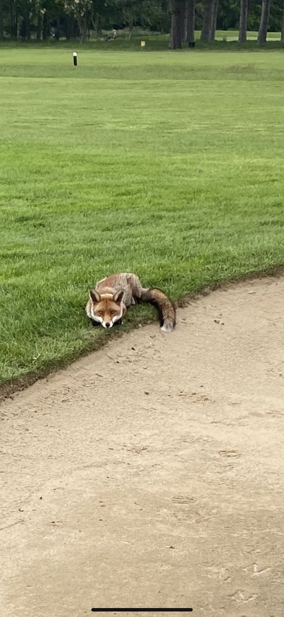 SeamusJoyce 💙 tweet media