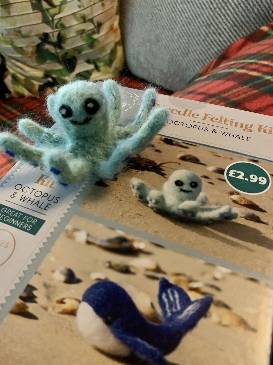 HannahNutting1's tweet photo. Nipped into @AldiUK for a bottle of wine on my way home and long story short I have a new friend 🐙 #whoopsWednesday https://t.co/tq2d5I6Aw5
