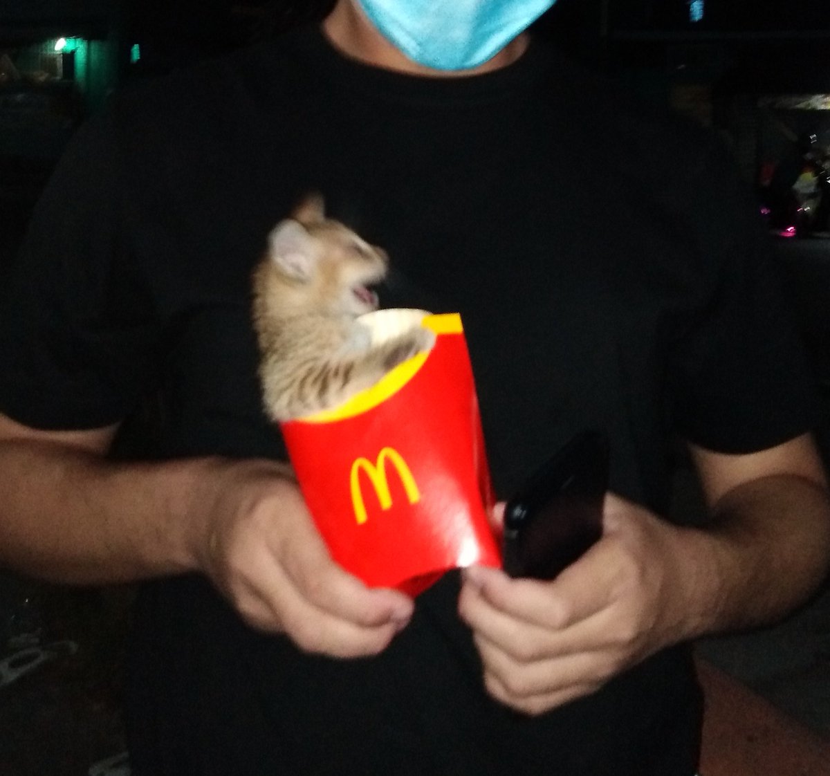 guptwt's tweet image. weird frenge frys