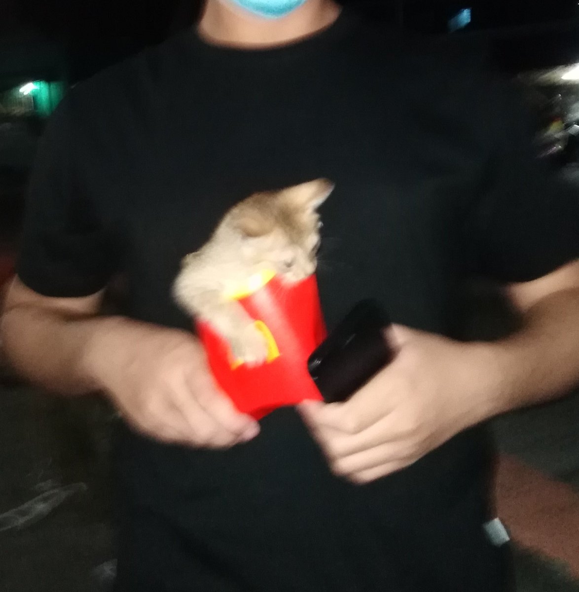 guptwt's tweet image. weird frenge frys